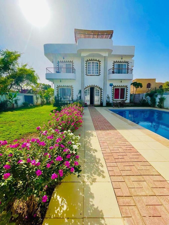 Ali Luxury Villa الأقصر المظهر الخارجي الصورة