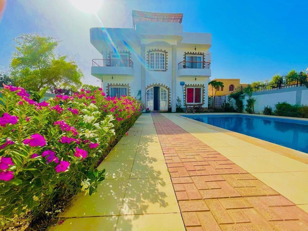Ali Luxury Villa الأقصر المظهر الخارجي الصورة